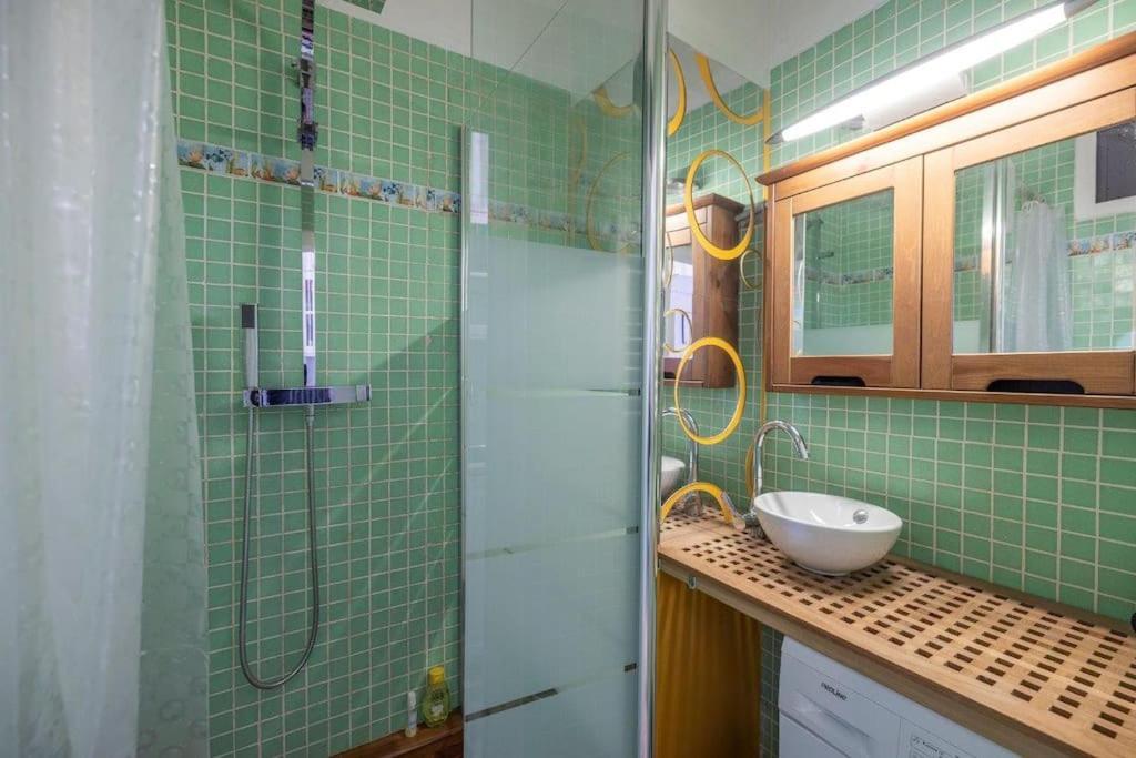 Appartement Cosy Dans Les Rues Pietonnes Grenoble Esterno foto